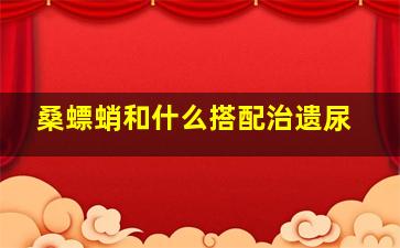 桑螵蛸和什么搭配治遗尿