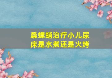 桑螵蛸治疗小儿尿床是水煮还是火烤