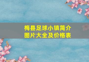 梅县足球小镇简介图片大全及价格表