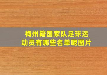 梅州籍国家队足球运动员有哪些名单呢图片