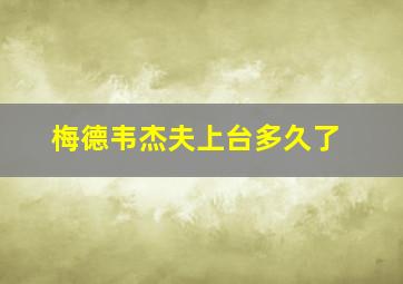 梅德韦杰夫上台多久了