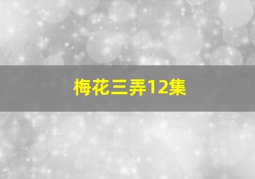 梅花三弄12集