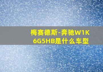 梅赛德斯-奔驰W1K6G5HB是什么车型