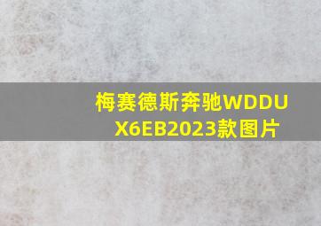 梅赛德斯奔驰WDDUX6EB2023款图片