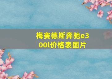 梅赛德斯奔驰e300l价格表图片