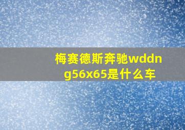 梅赛德斯奔驰wddng56x65是什么车