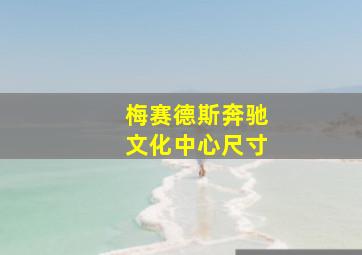 梅赛德斯奔驰文化中心尺寸