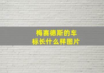 梅赛德斯的车标长什么样图片