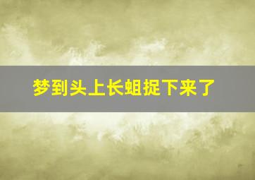 梦到头上长蛆捉下来了