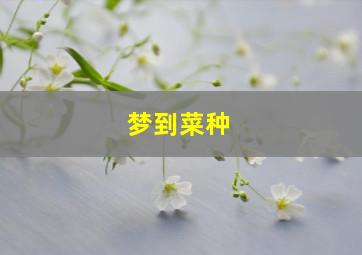 梦到菜种