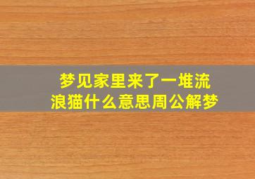 梦见家里来了一堆流浪猫什么意思周公解梦