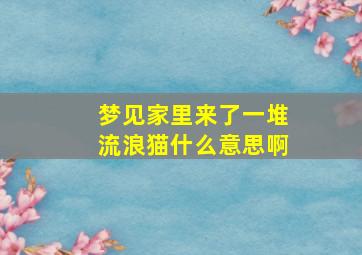 梦见家里来了一堆流浪猫什么意思啊