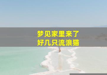 梦见家里来了好几只流浪猫