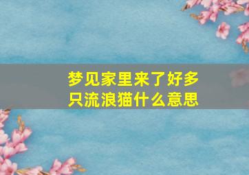 梦见家里来了好多只流浪猫什么意思