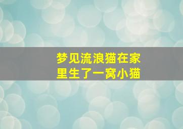 梦见流浪猫在家里生了一窝小猫