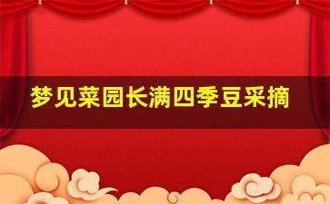 梦见菜园长满四季豆采摘