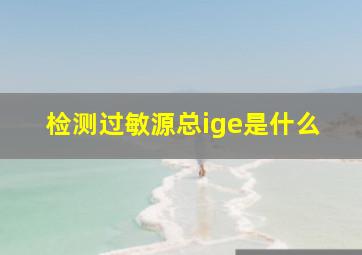 检测过敏源总ige是什么