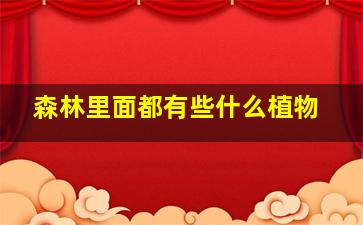 森林里面都有些什么植物