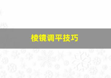 棱镜调平技巧