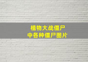 植物大战僵尸中各种僵尸图片