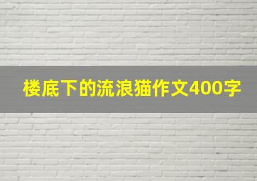 楼底下的流浪猫作文400字