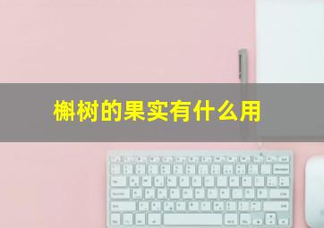 槲树的果实有什么用