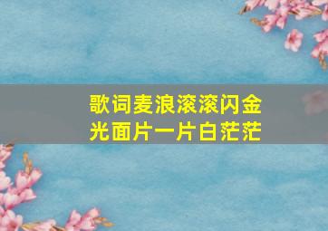 歌词麦浪滚滚闪金光面片一片白茫茫