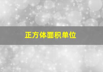 正方体面积单位