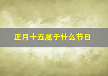 正月十五属于什么节日