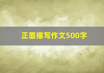 正面描写作文500字