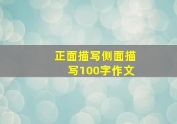 正面描写侧面描写100字作文