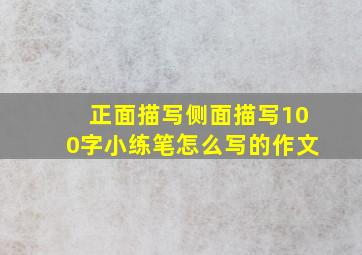 正面描写侧面描写100字小练笔怎么写的作文