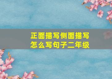 正面描写侧面描写怎么写句子二年级