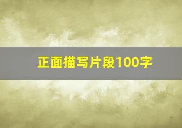 正面描写片段100字