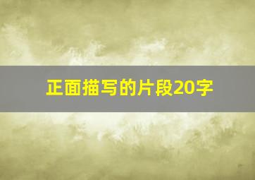 正面描写的片段20字