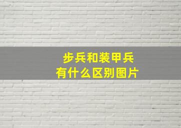 步兵和装甲兵有什么区别图片