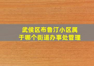 武侯区布鲁汀小区属于哪个街道办事处管理