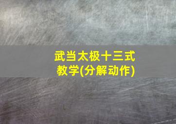 武当太极十三式教学(分解动作)