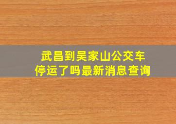 武昌到吴家山公交车停运了吗最新消息查询