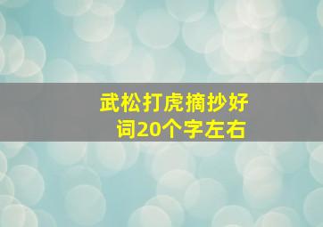 武松打虎摘抄好词20个字左右