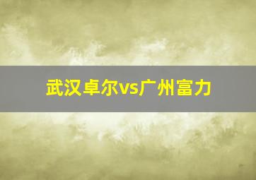 武汉卓尔vs广州富力