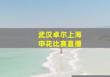 武汉卓尔上海申花比赛直播