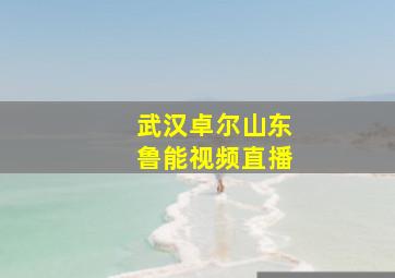 武汉卓尔山东鲁能视频直播