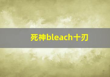 死神bleach十刃