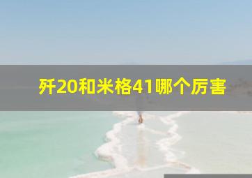 歼20和米格41哪个厉害