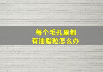 每个毛孔里都有油脂粒怎么办