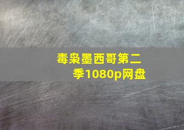 毒枭墨西哥第二季1080p网盘