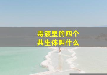 毒液里的四个共生体叫什么