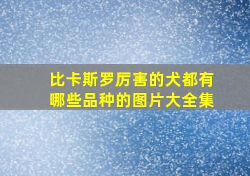 比卡斯罗厉害的犬都有哪些品种的图片大全集