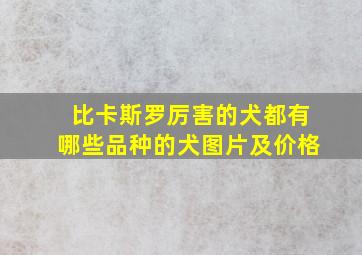 比卡斯罗厉害的犬都有哪些品种的犬图片及价格